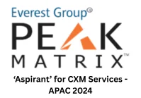 Everest Group Peak Matrix