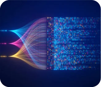 Omnichannel Customer Support